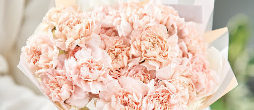 Grocery Store «Schnucks», reviews and photos, 1615 Camp Jackson Rd, Cahokia, IL 62206, USA