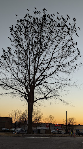 Hair Salon «SmartStyle Hair Salon», reviews and photos, 1635 Market Pl Blvd, Irving, TX 75063, USA