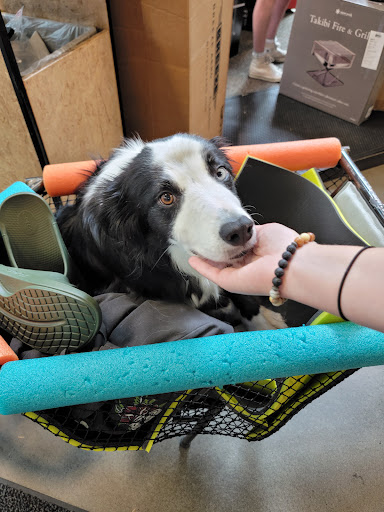 Camping Store «REI», reviews and photos, 1405 NW Johnson St, Portland, OR 97209, USA