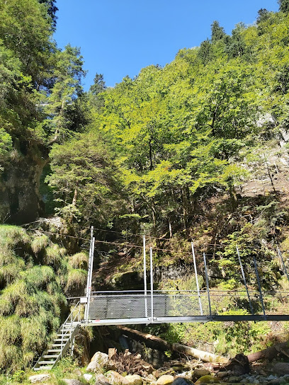 Hängebrücke Leiternweide Oberwil
