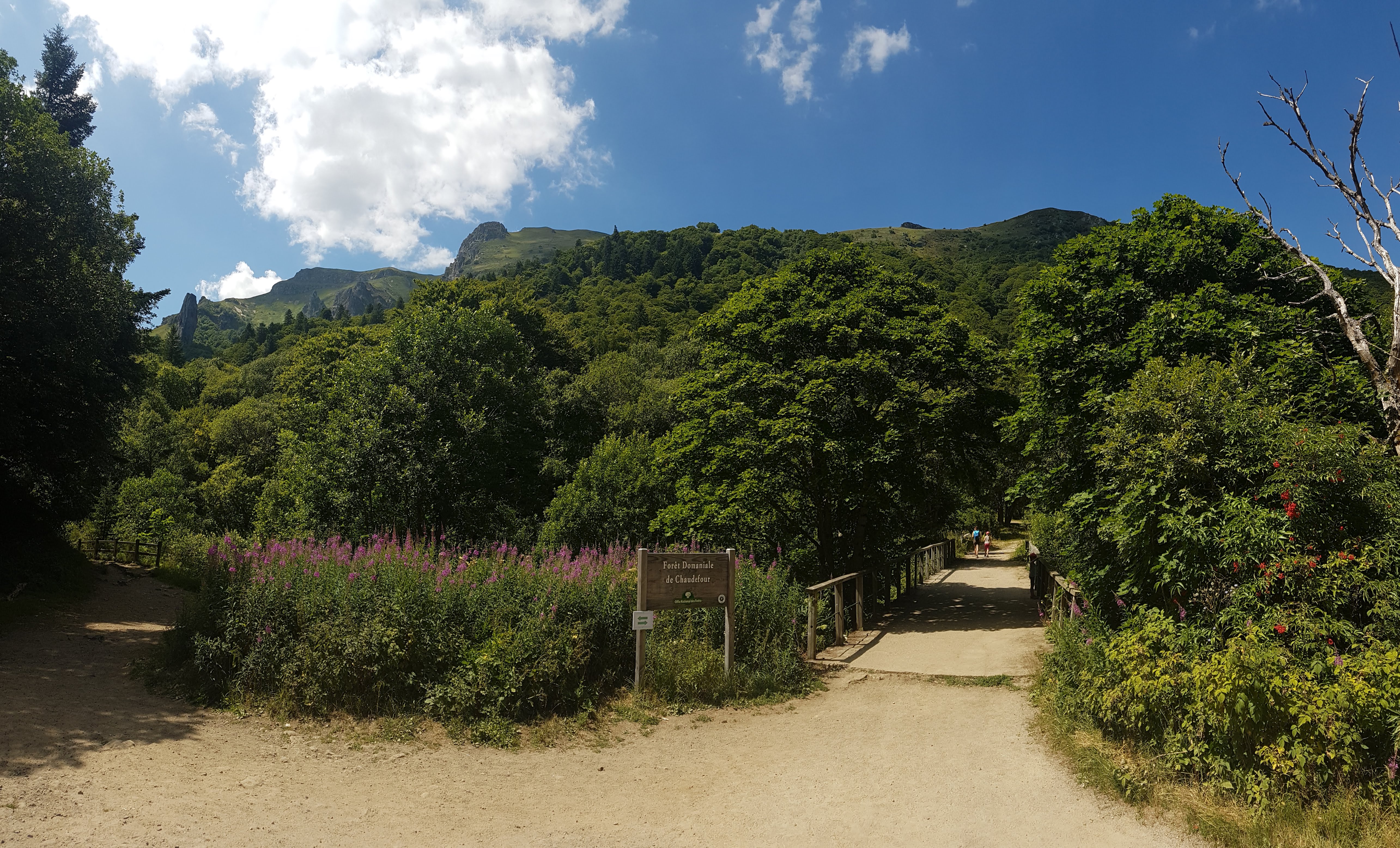 Photo n° 2 de l'avis de CHB.0 fait le 18/08/2019 à 11:22