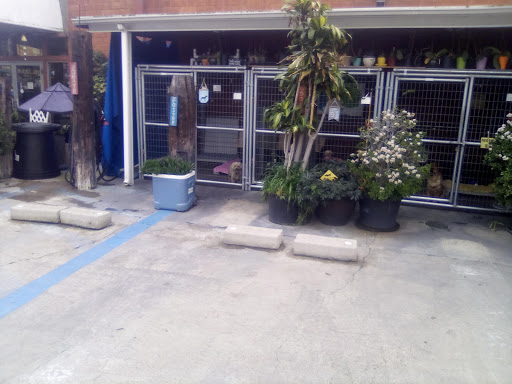 Pet Supply Store «Creative Pet Supply», reviews and photos, 305 N Harbor Blvd, San Pedro, CA 90731, USA