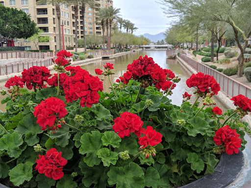 Shopping Mall «Scottsdale Waterfront», reviews and photos, 7135 E Camelback Rd #165, Scottsdale, AZ 85251, USA