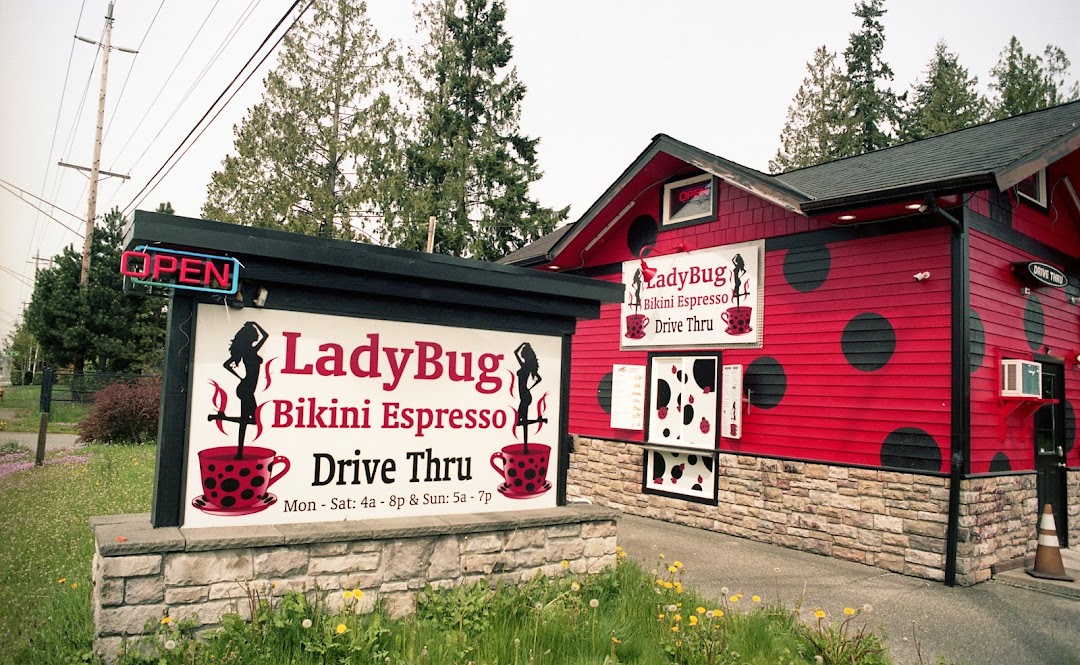 Ladybug express