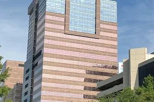 Texas Children's Hospital - West Tower image