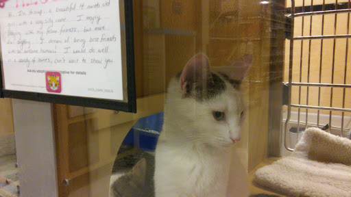 Pet Supply Store «PetSmart», reviews and photos, 1232 Hooper Ave, Toms River, NJ 08753, USA