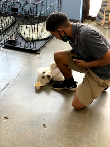 Pet Groomer «The Pet Set - Buckhead», reviews and photos, 2480 Briarcliff Rd NE #3, Atlanta, GA 30329, USA