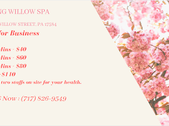 Spring Willow Spa