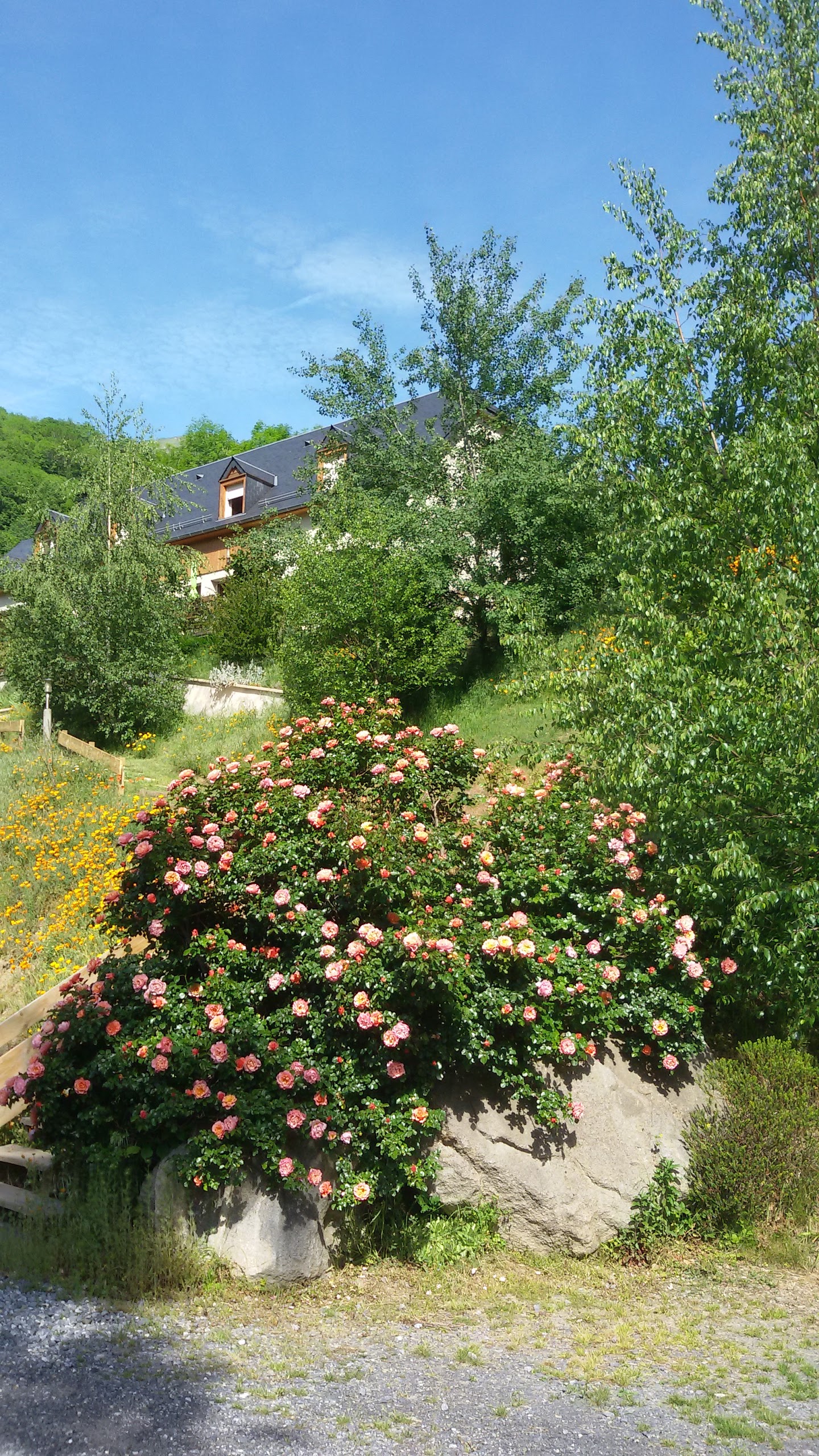 Photo n° 3 de l'avis de Gerard.t fait le 14/07/2017 à 12:58