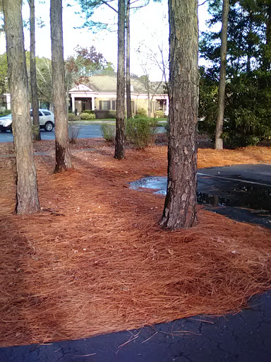 Golf Club «Players Club», reviews and photos, 3684 Players Club Dr SE, Southport, NC 28461, USA