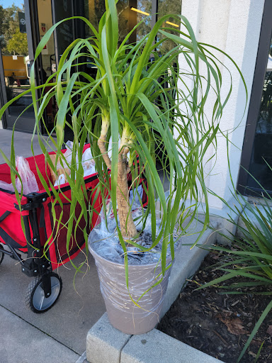 Irvine Farmers Market image