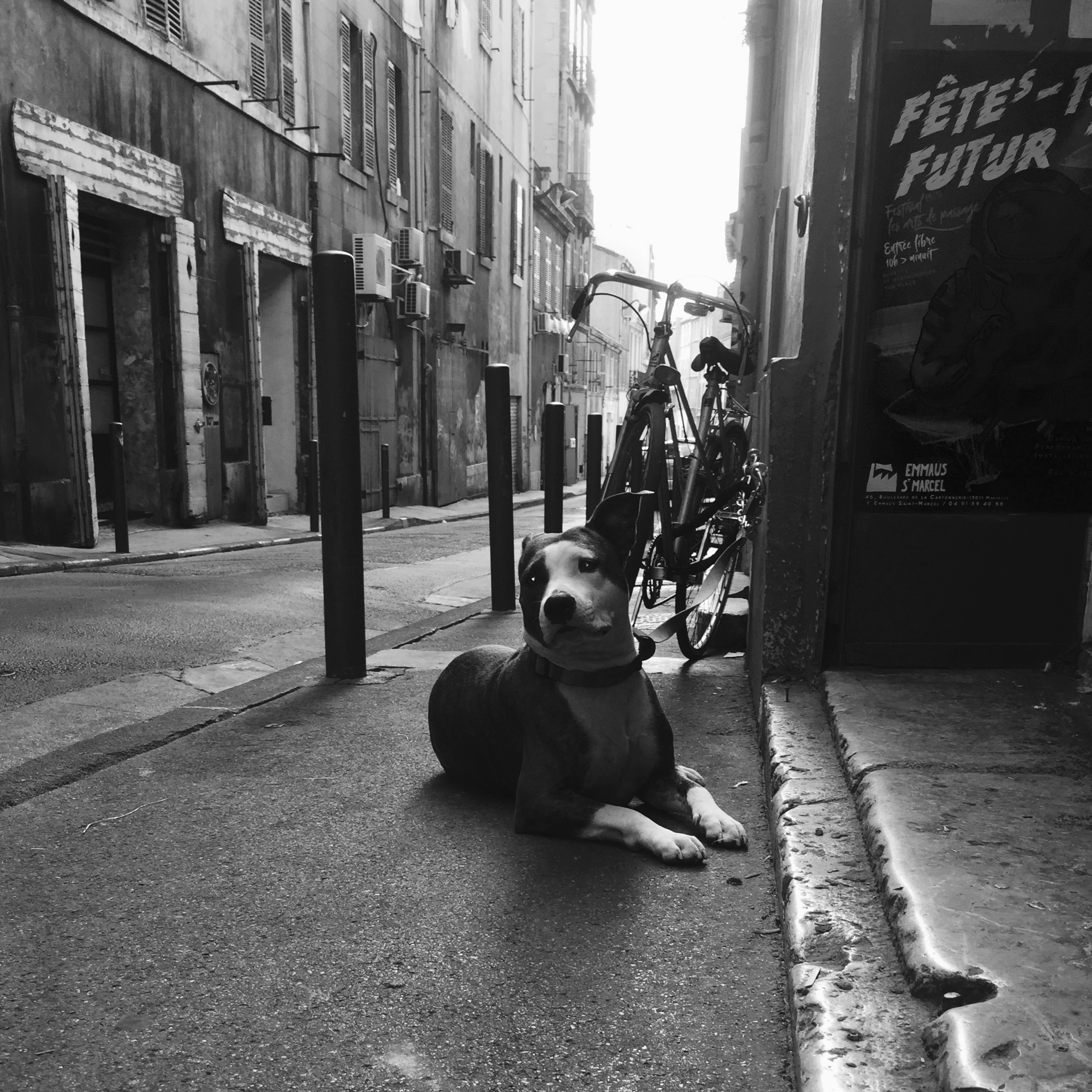 Photo n° 1 de l'avis de Stéphane.H fait le 11/01/2018 à 01:46