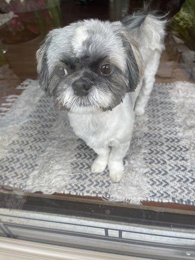 Pet Supply Store «Petco Animal Supplies», reviews and photos, 8909 Branch Ave d, Clinton, MD 20735, USA