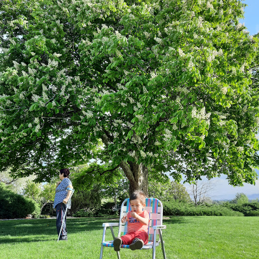 Amphitheater «American Fork Amphitheater», reviews and photos