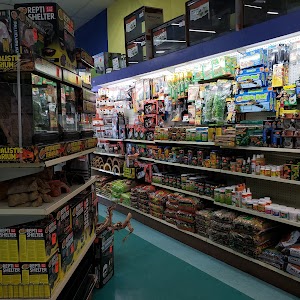 Pet Emporium - photo 56