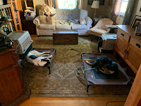 Doggone Fit - Photo 2 - Car repair in Worcester, MA, Worcester