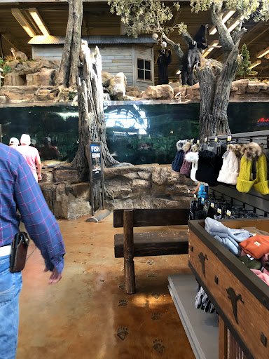 Sporting Goods Store «Bass Pro Shops», reviews and photos, 5000 Katy Mills Cir #415, Katy, TX 77494, USA