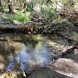 Naftel's Creek Conservation Area