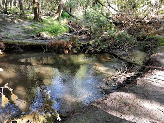 Naftel's Creek Conservation Area
