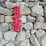 Photo n°1 de l'avis de Paola. fait le 24/09/2021 à 13:13 sur le  Il Principe E Il Pirata Di Raffaele F. à Pantelleria