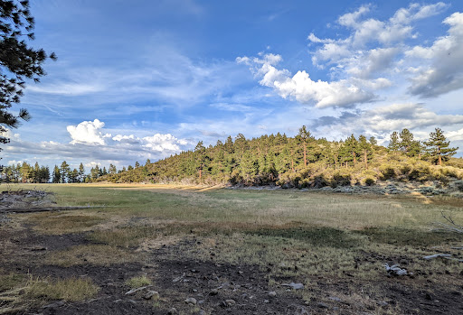 Whites Creek Dry Pond Trailhead