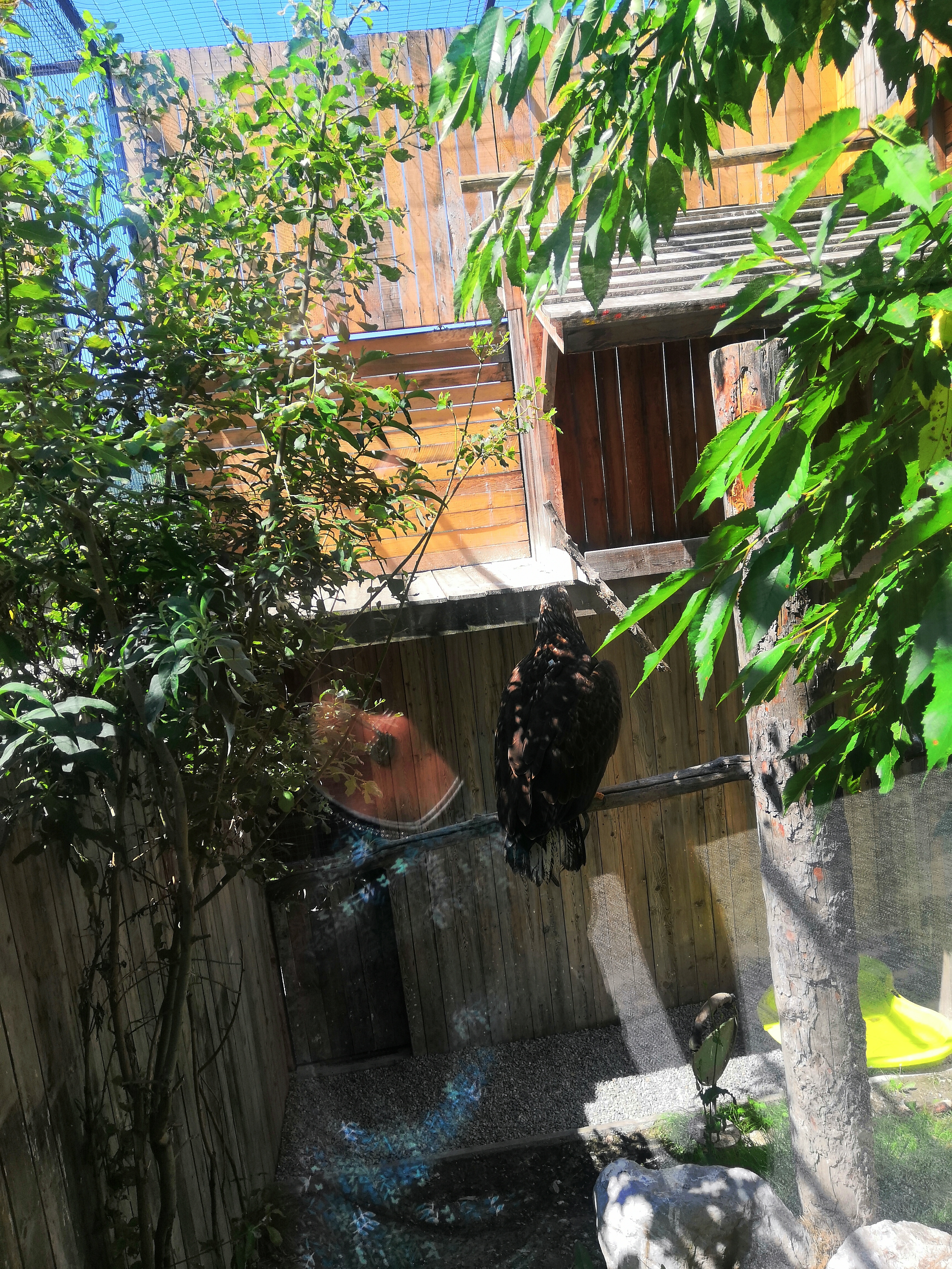 Photo n° 8 de l'avis de logan.e fait le 13/07/2023 à 08:51