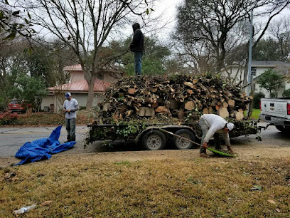 Wild Oak Tree Service San Antonio TX