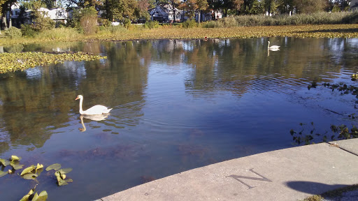 Park «Baisley Pond Park», reviews and photos, Baisley Blvd, Jamaica, NY 11434, USA