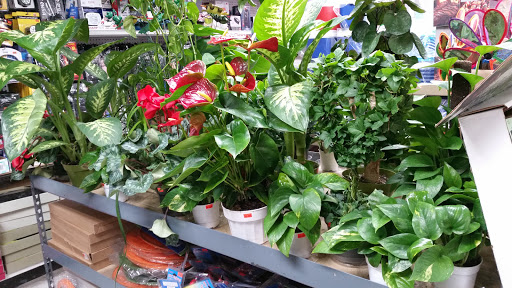 Discount Store «Crenshaw Discount Store», reviews and photos, 3657 Crenshaw Blvd, Los Angeles, CA 90016, USA