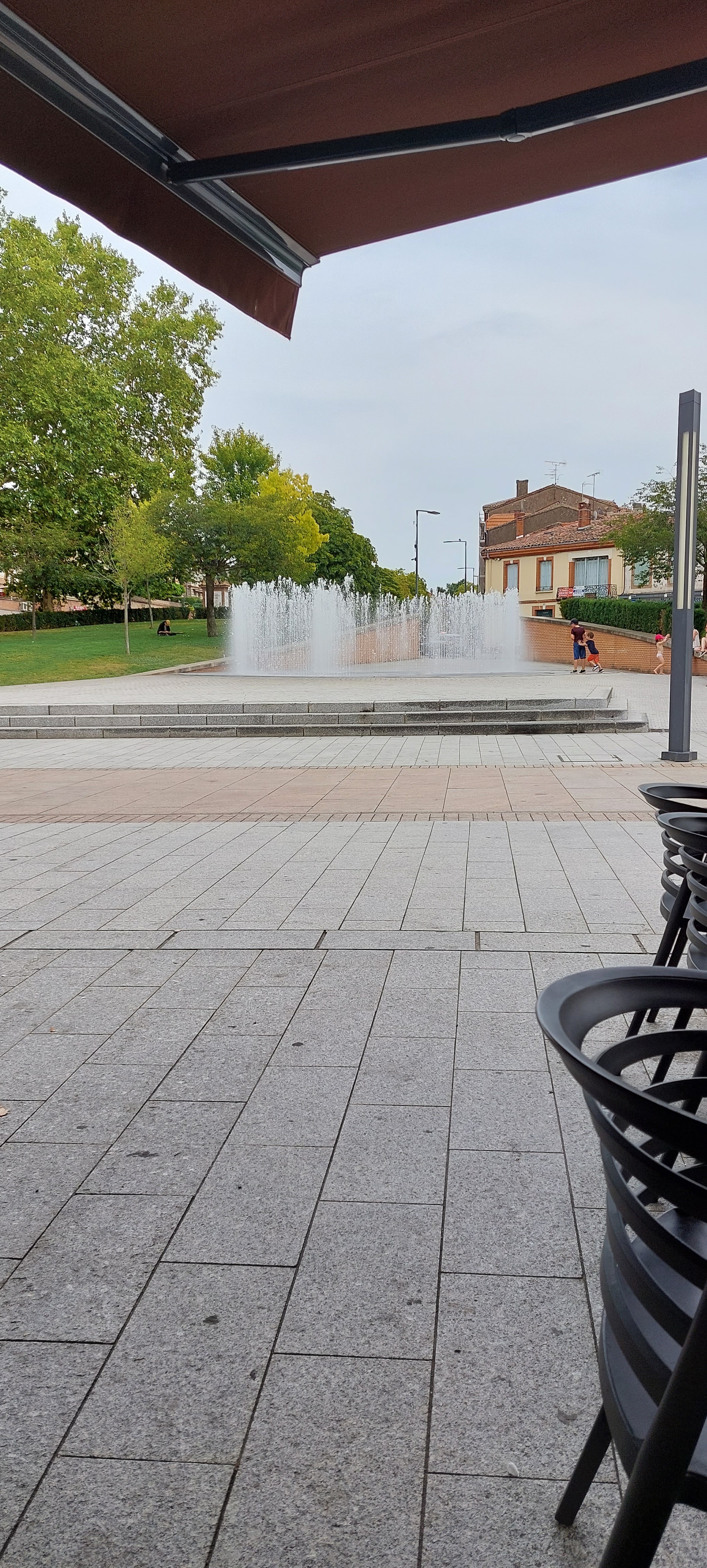 Photo n° 4 de l'avis de Moustique. fait le 17/08/2023 à 16:07