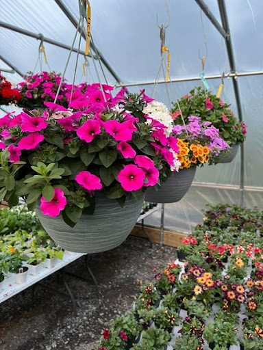 Florist «TG Designs», reviews and photos, 19231 Longmeadow Rd, Hagerstown, MD 21742, USA