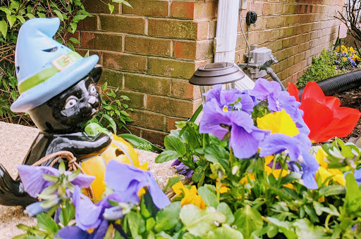 Park «Fairland Recreational Park», reviews and photos, 3928 Greencastle Rd, Burtonsville, MD 20866, USA