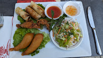 Rouleau de printemps du Restaurant asiatique Le Saïgon à Orange - n°13