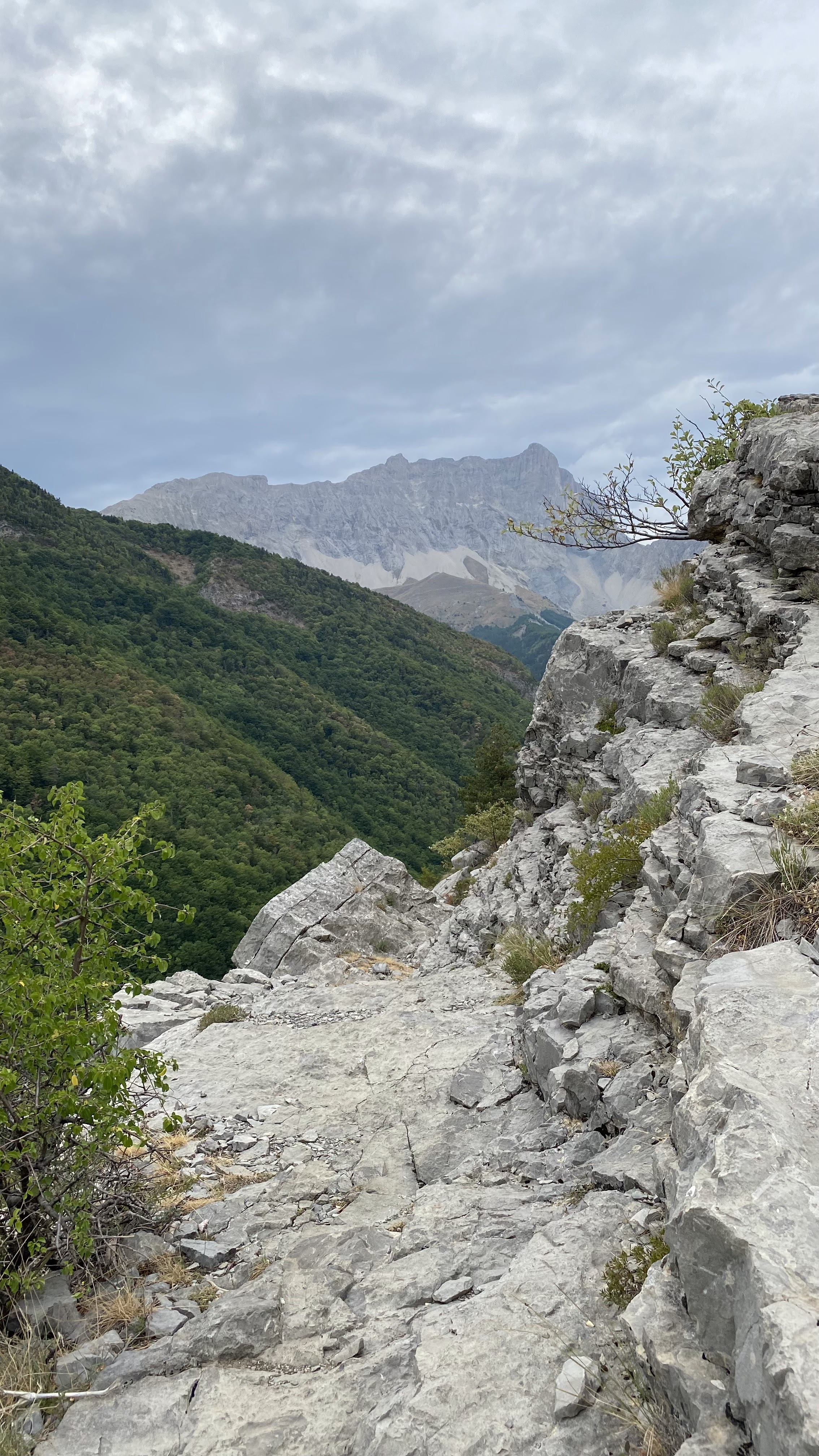 Photo n° 1 de l'avis de Tasvu. fait le 17/08/2022 à 18:54