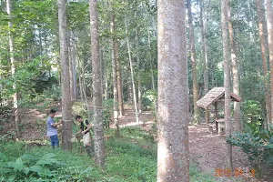 Gardens Agroforestry Systems image