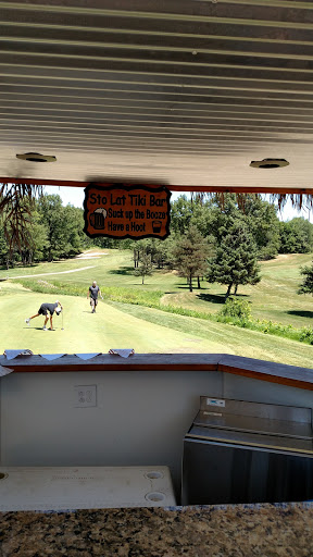 Golf Course «Hankerd Hills Golf Course», reviews and photos, 10251 Resort Rd, Pleasant Lake, MI 49272, USA