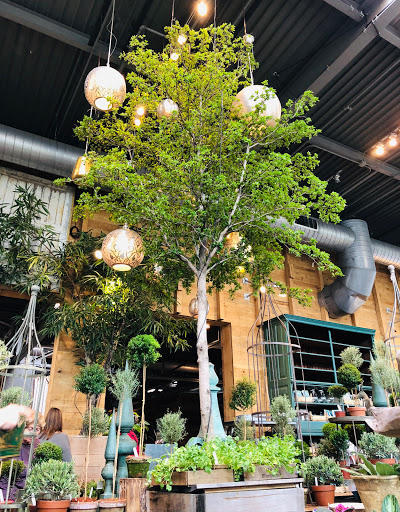 Garden Center «Terrain», reviews and photos, 561 Post Rd E, Westport, CT 06880, USA