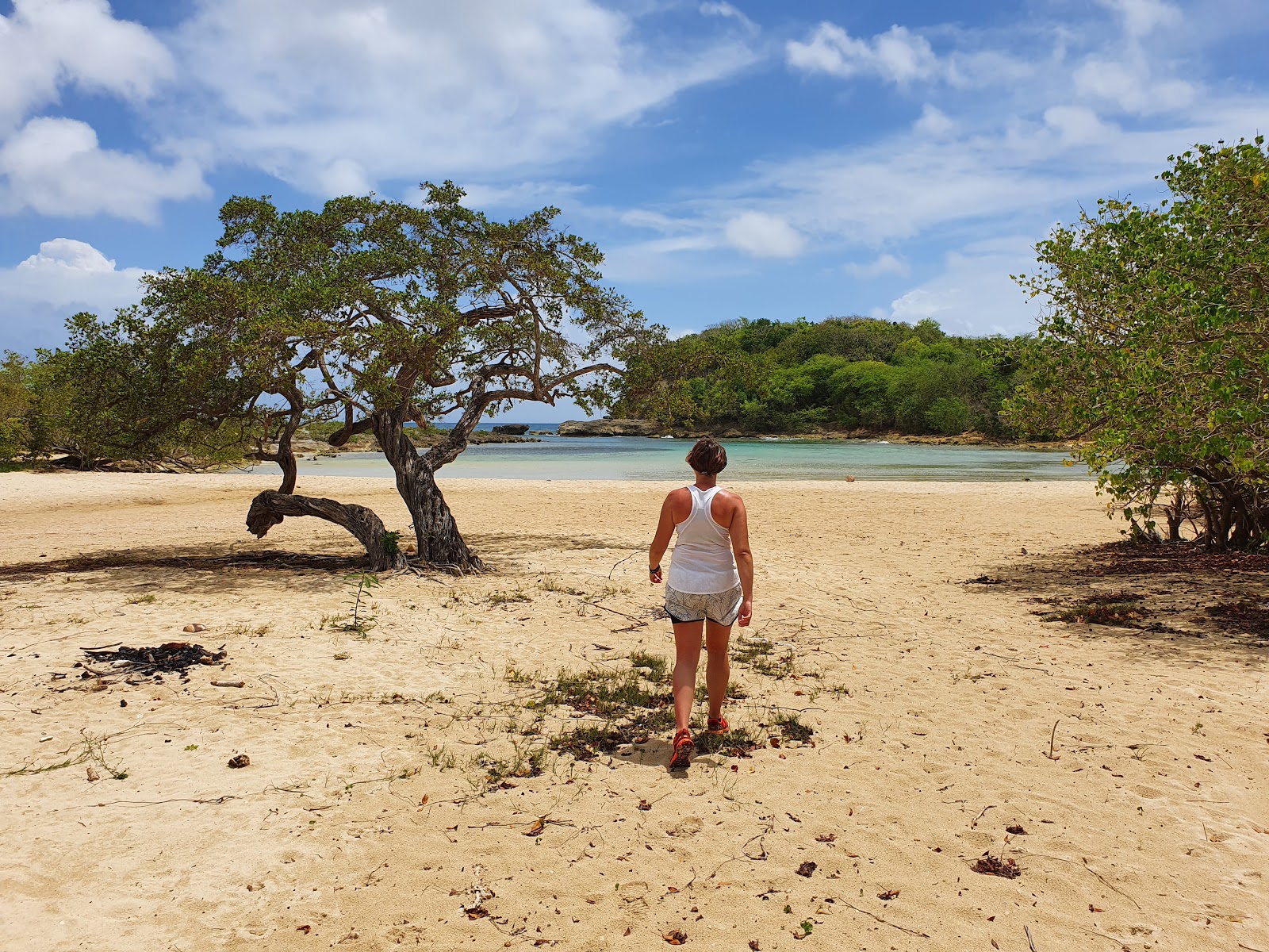 Anse Colas photo #8
