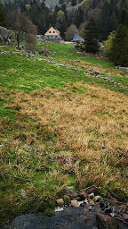 Photo n°32 de Ferme Auberge du Lac de Forlet à Soultzeren ()