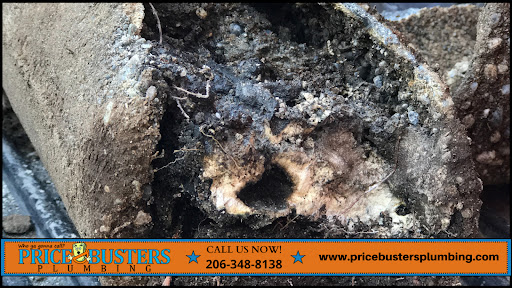 Plumber «Price Busters Plumbing», reviews and photos, 14315 Lake City Way NE, Seattle, WA 98125, USA