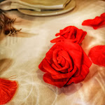 Photo n°1 de l'avis de Milena.x fait le 15/05/2022 à 11:18 sur le  Castello di Pavone à Pavone Canavese