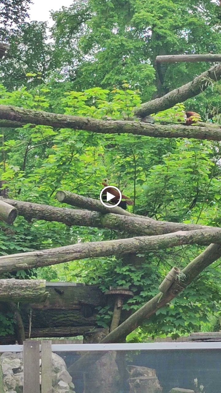 Photo n° 11 de l'avis de Romin. fait le 24/05/2023 à 12:29