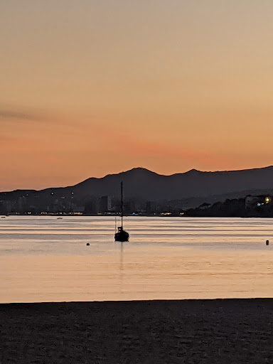 Clínica Veterinaria Palamós S.l. en Palamós
