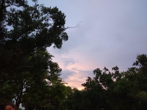 Park «Liberty Tree Park», reviews and photos, 7421 NW 5th St, Plantation, FL 33317, USA