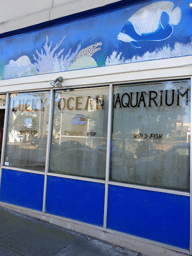 Lucky Ocean Aquarium