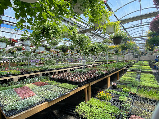 Florist «Countryside Floral And Greenhouses», reviews and photos, 129 Mt Cobb Hwy, Lake Ariel, PA 18436, USA