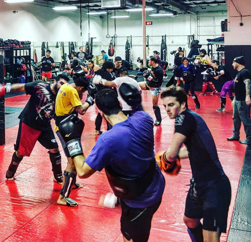 Gym «Smash Gyms», reviews and photos, 1239 Reamwood Ave, Sunnyvale, CA 94089, USA