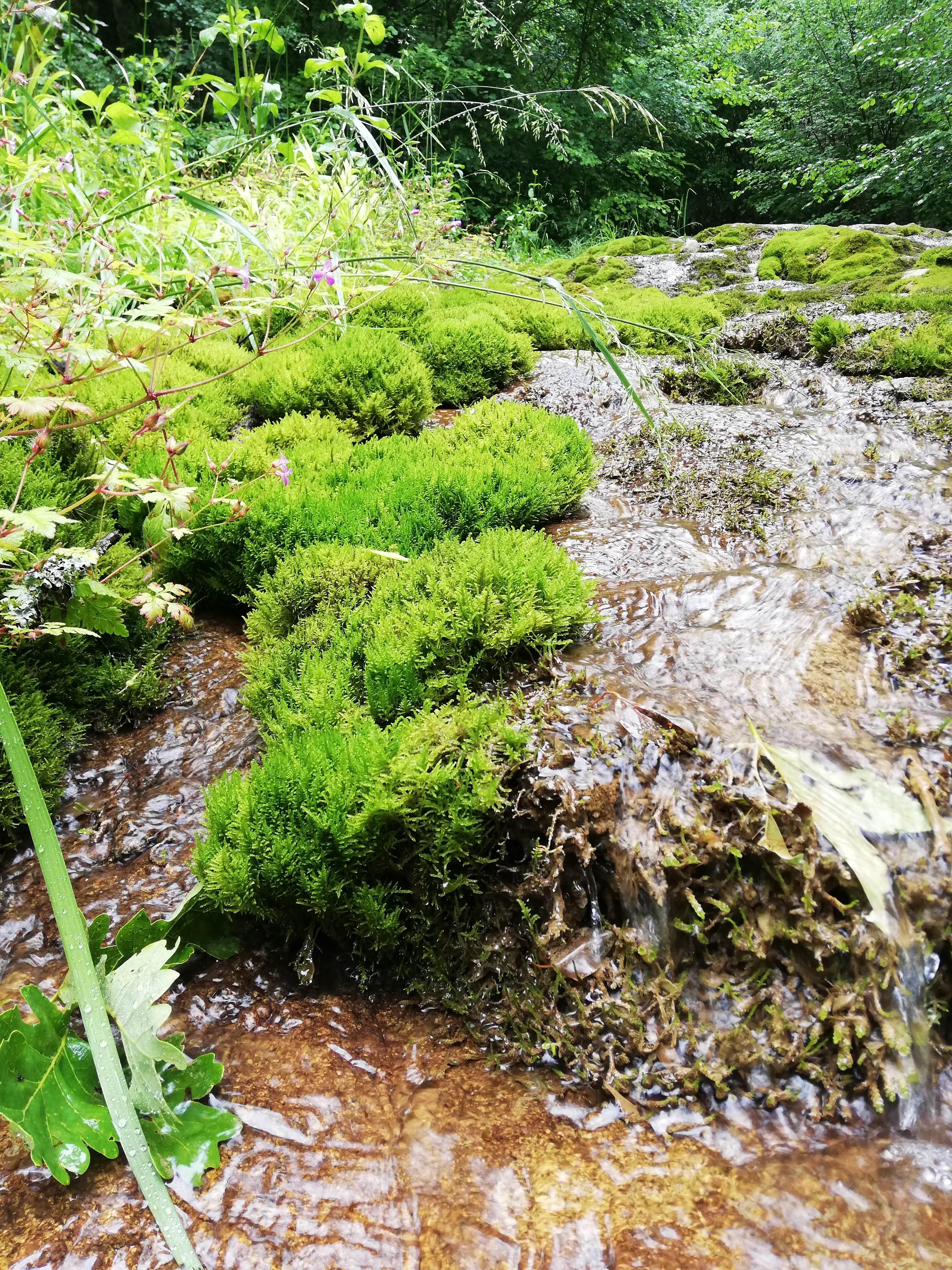Photo n° 1 de l'avis de sam.a fait le 27/06/2019 à 20:07