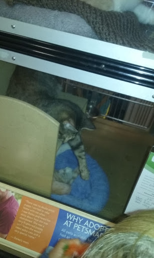 Pet Supply Store «PetSmart», reviews and photos, 5200 W Main St, Kalamazoo, MI 49009, USA