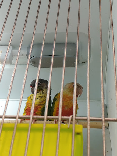 Pet Supply Store «Pet Supplies Plus», reviews and photos, 14839 Detroit Ave, Lakewood, OH 44107, USA